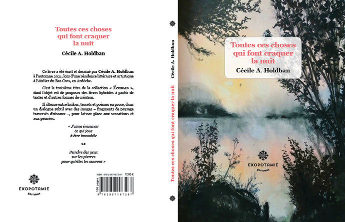 All these things that make the night crack, by Cécile A. Holdban, by Pierre Tanguy